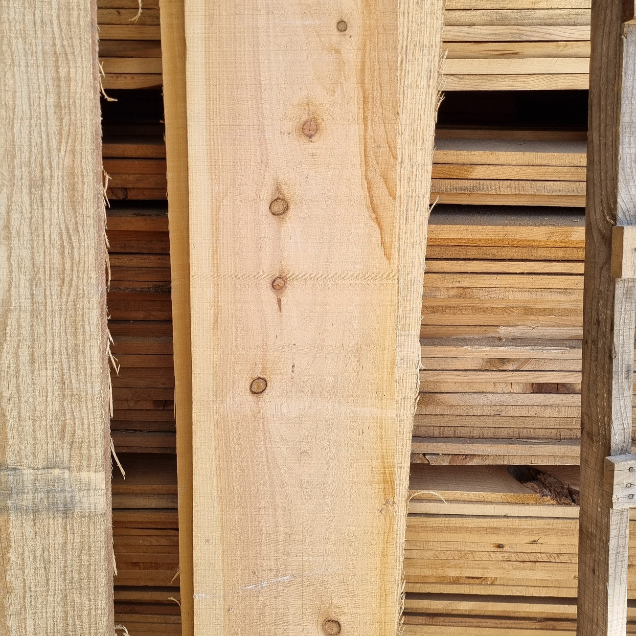 Tabla Cedro Blanco